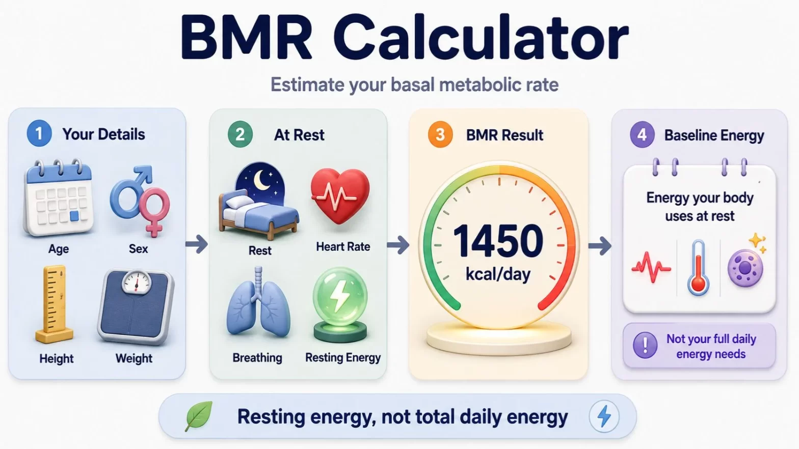 BMR Calculator
