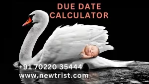 Due Date Calculator