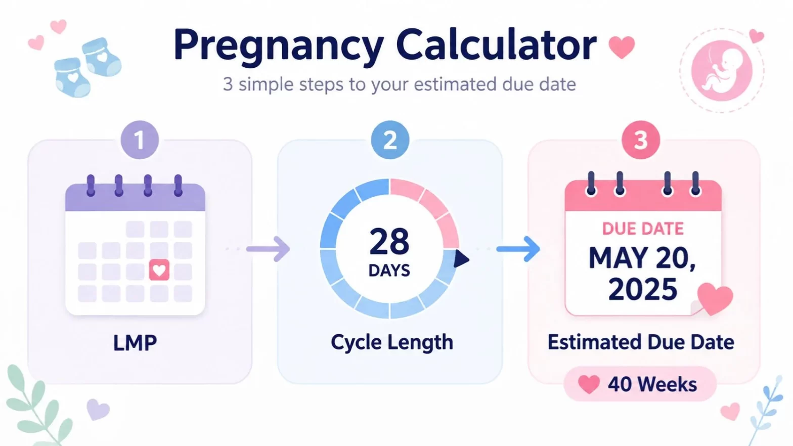 Pregnancy Calculator