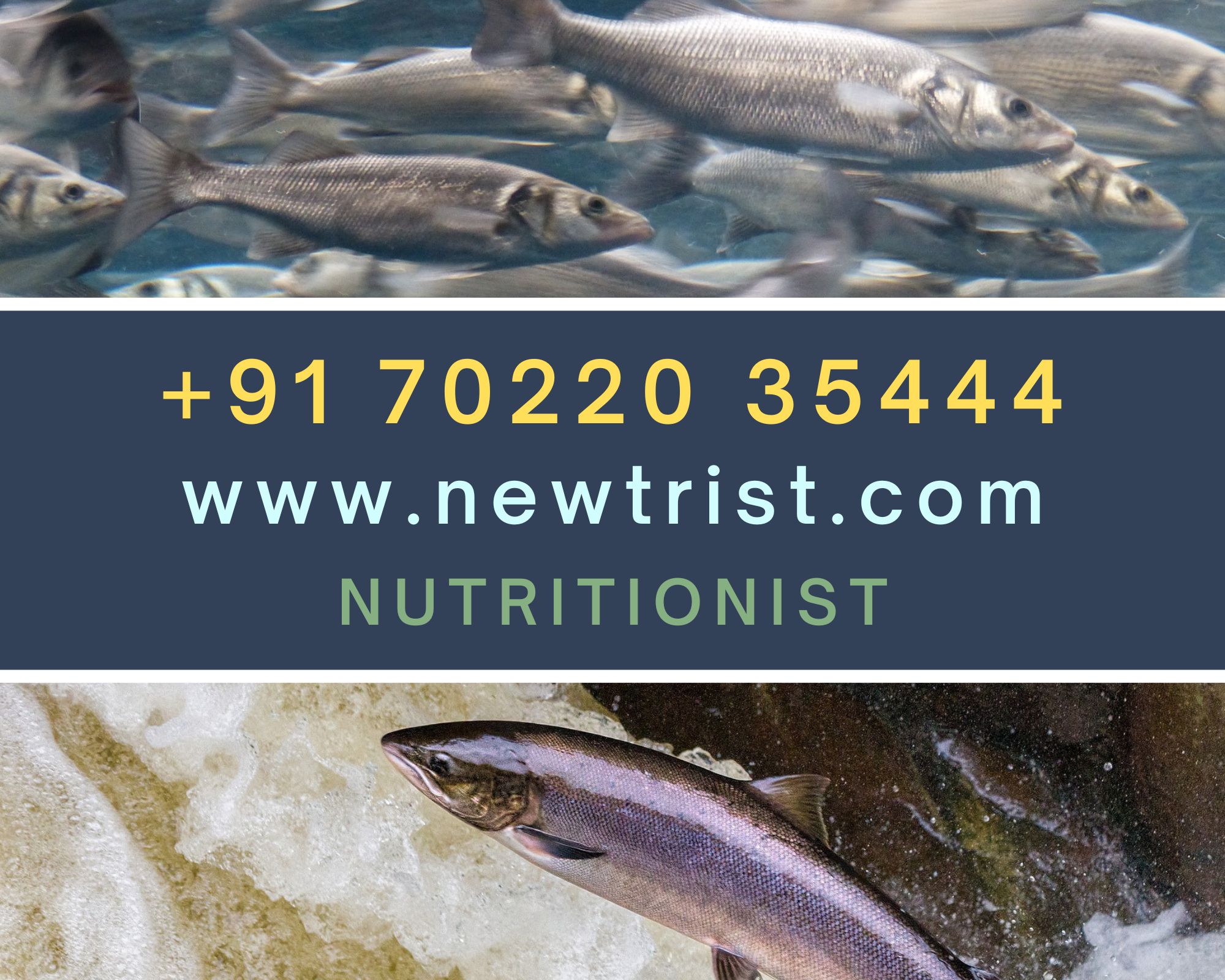 fish-during-pregnancy-newtrist-nutritionist-dietitian-dietician