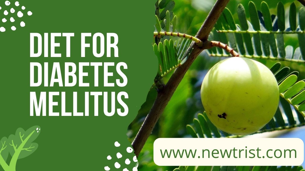 Newtrist Best Nutritionist Near Me