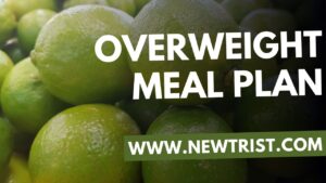 Overweight Meal Plan