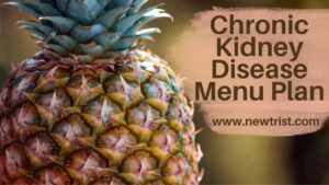 Chronic Kidney Disease Menu Plan