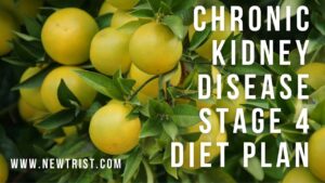 Chronic kidney disease stage 4 diet plan