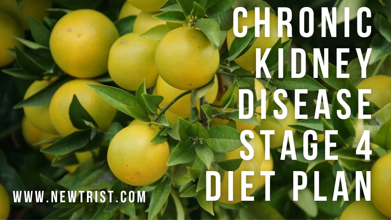 Chronic Kidney Disease Diet Food List Newtrist