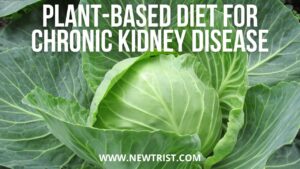 Plant Based Diet For Chronic Kidney Disease