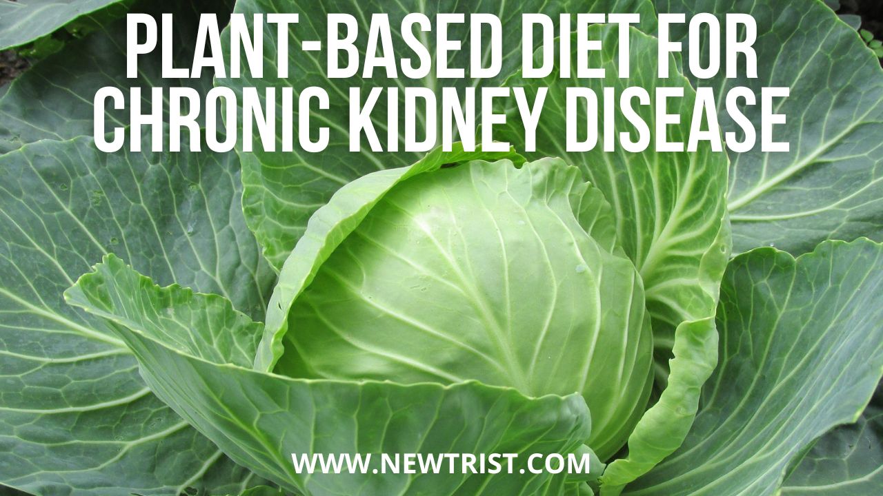 Chronic Kidney Disease Diet Food List Newtrist