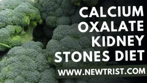 Calcium Oxalate Kidney Stones Diet