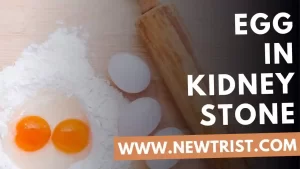 Egg In Kidney Stone