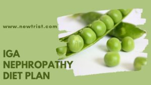 IgA Nephropathy Diet Plan