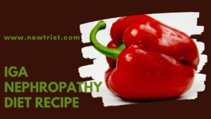 IgA Nephropathy Diet Recipe