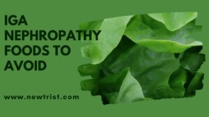 IgA Nephropathy Foods To Avoid
