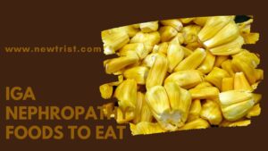 IgA Nephropathy Foods To Eat