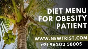 Diet menu for obesity patient