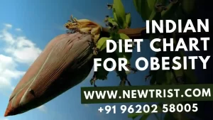 Indian Diet Chart For Obesity