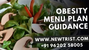 Obesity menu plan guidance